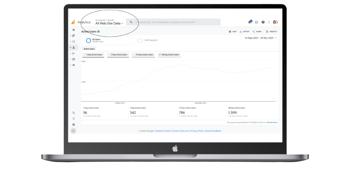 Brand9 Google Stats